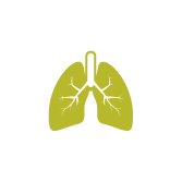 Erkrankungen der Lunge und der Atemwege (Pulmologie)
